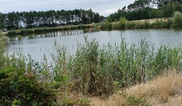Działka rolna Kuźnica Zbąska
