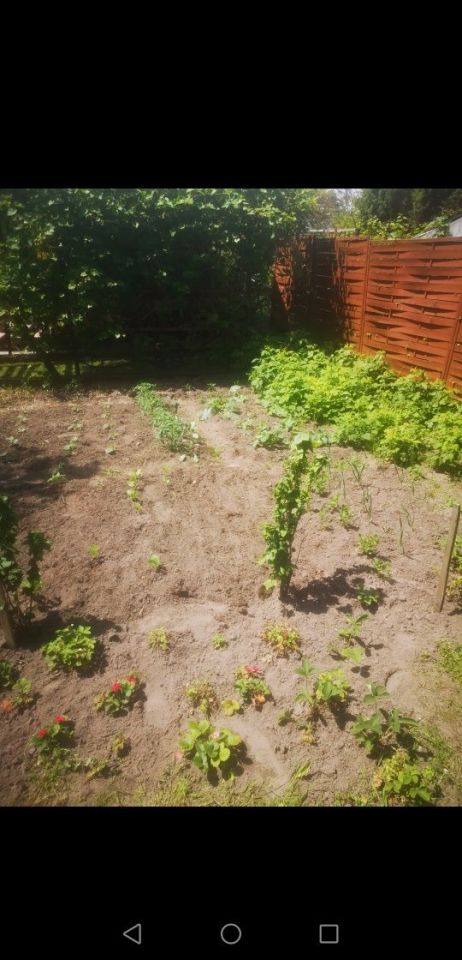 Działka rod Dąbrowa Górnicza. Zdjęcie 6