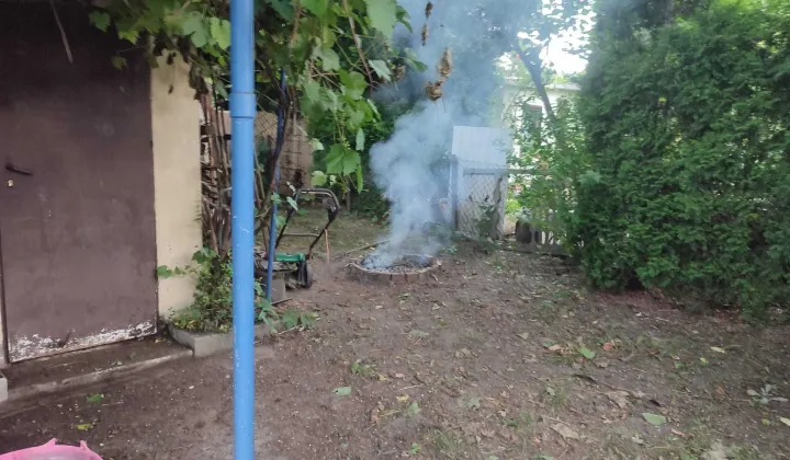 Działka rod Katowice Bogucice, ul. Osikowa