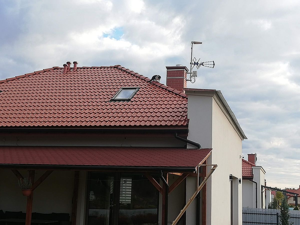 dom, 3 pokoje Studzianki. Zdjęcie 13
