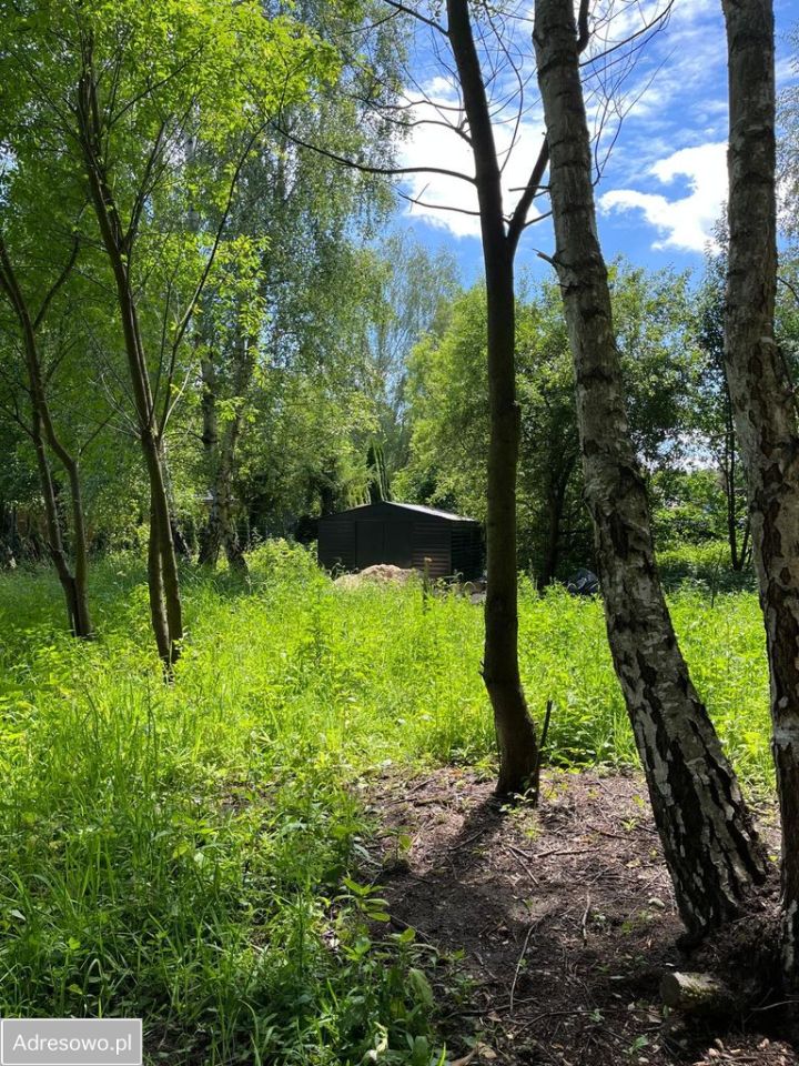 Działka budowlana Rybno Wielkie, ul. Grabowa. Zdjęcie 5