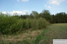 Działka rolno-budowlana Pasynki. Zdjęcie 1