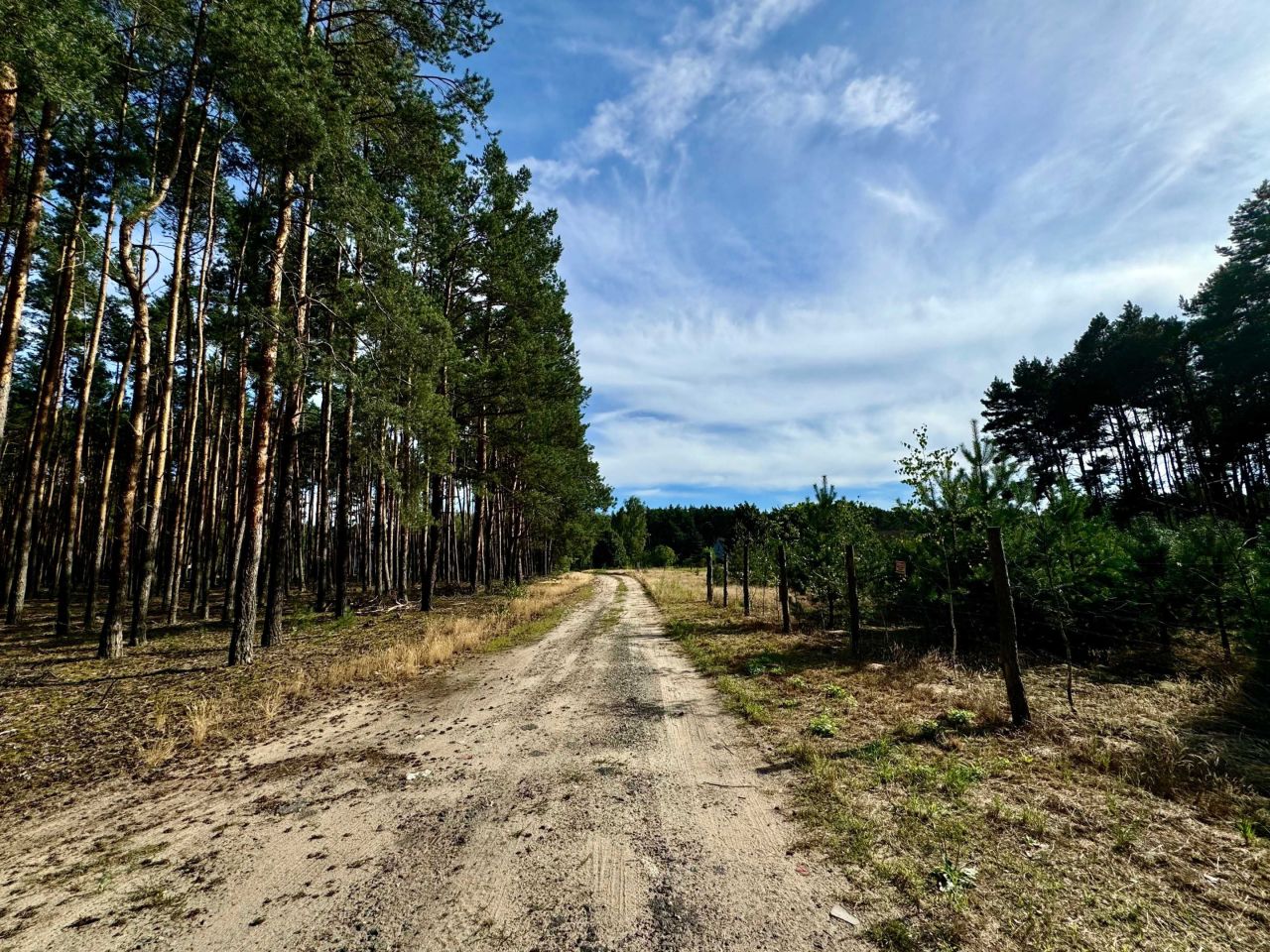 Działka budowlana Stany