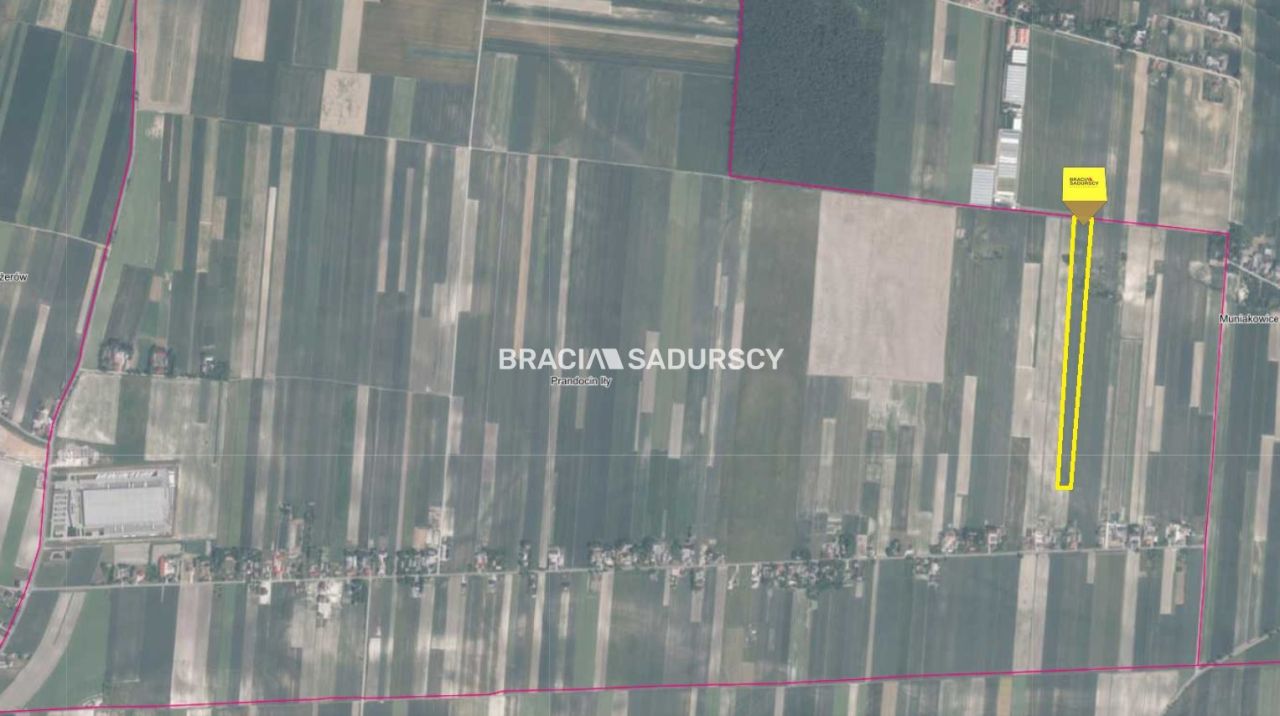 Działka rolna Prandocin-Iły. Zdjęcie 5