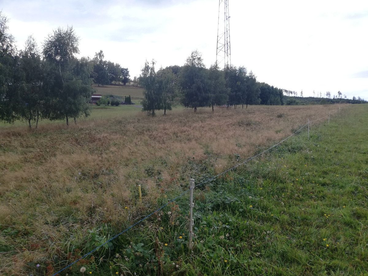 Działka budowlana Świerki. Zdjęcie 5