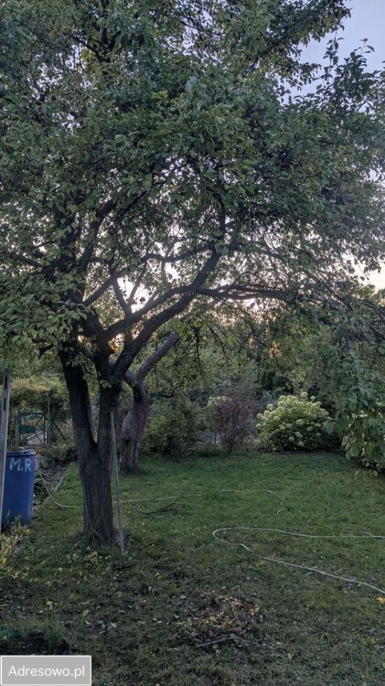 Działka rod Poznań Nowe Miasto, ul. Krańcowa. Zdjęcie 4