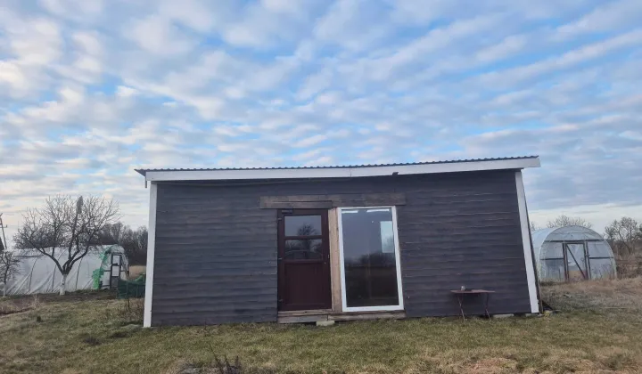 Działka rolna Koszewo