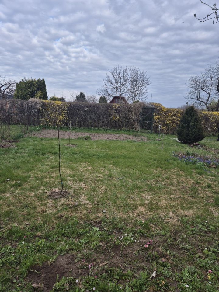 Działka rod Olsztyn, ul. Michała Kajki. Zdjęcie 7