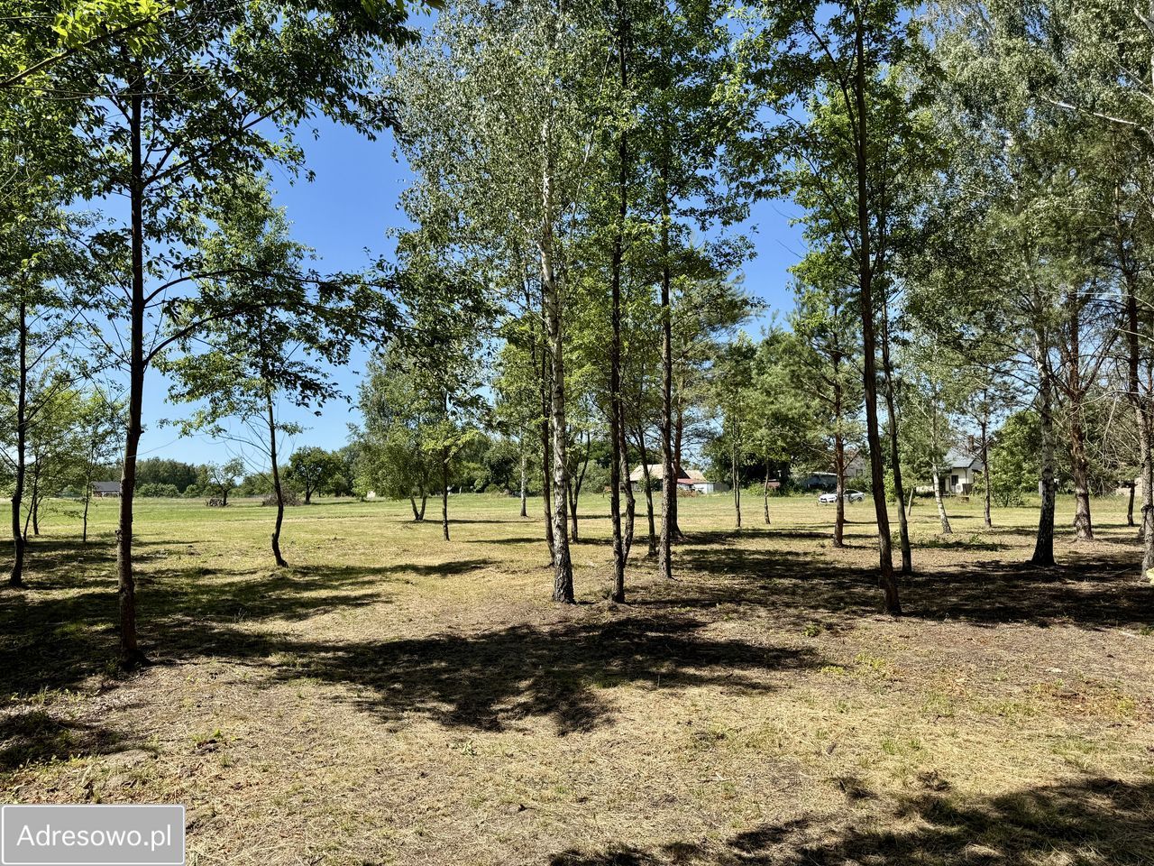 Działka budowlana Antoninów. Zdjęcie 12