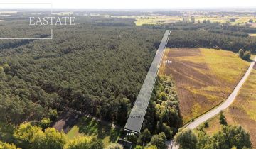 Działka leśna Maurzyce