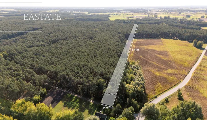 Działka leśna Maurzyce