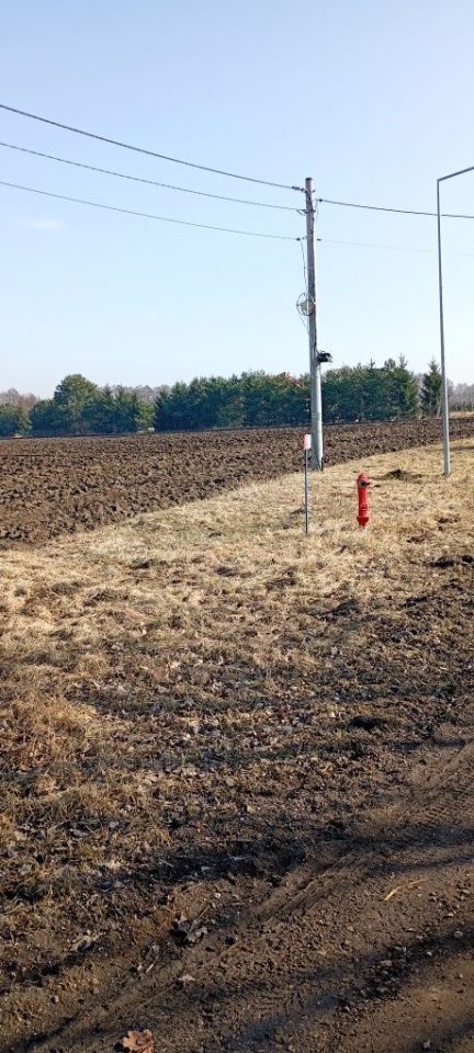 Działka siedliskowa Stary Toruń, ul. Cedrowa. Zdjęcie 4