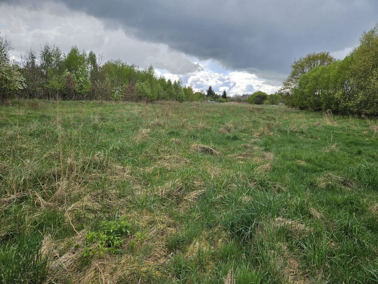 Działka budowlana Czarnkowo. Zdjęcie 2