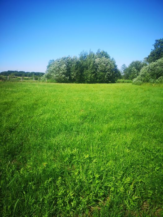 Działka budowlana Klonów. Zdjęcie 6