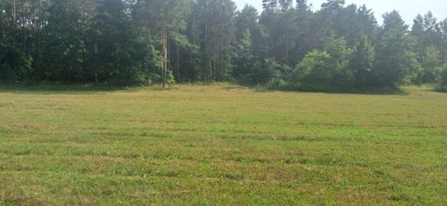 Działka Borów. Zdjęcie 1