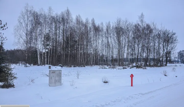 Działka budowlana Gąsocin, ul. Graniczna
