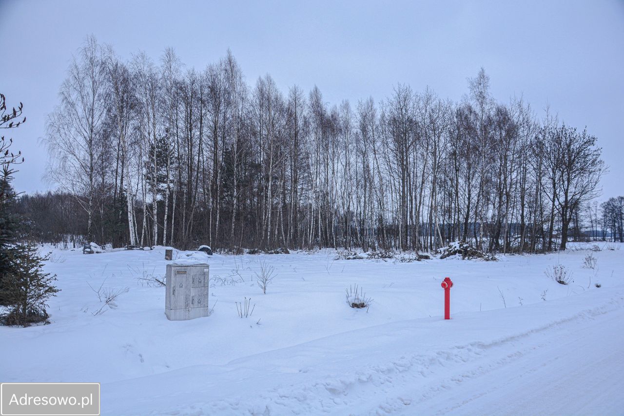 Działka budowlana Gąsocin, ul. Graniczna. Zdjęcie 1