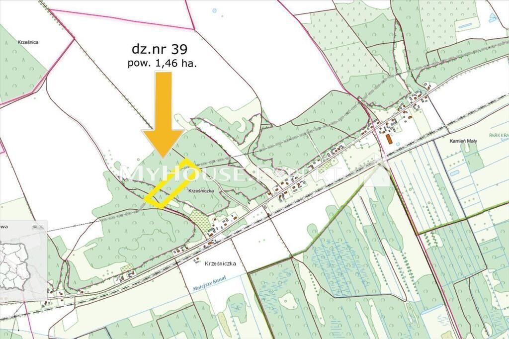 Działka leśna Krześniczka. Zdjęcie 1