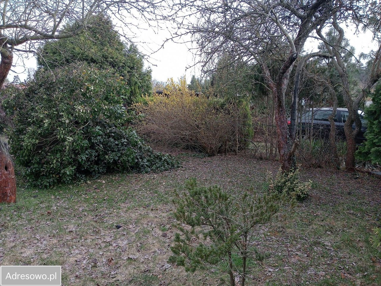 Działka rod Poznań Grunwald, ul. Bukowska. Zdjęcie 8