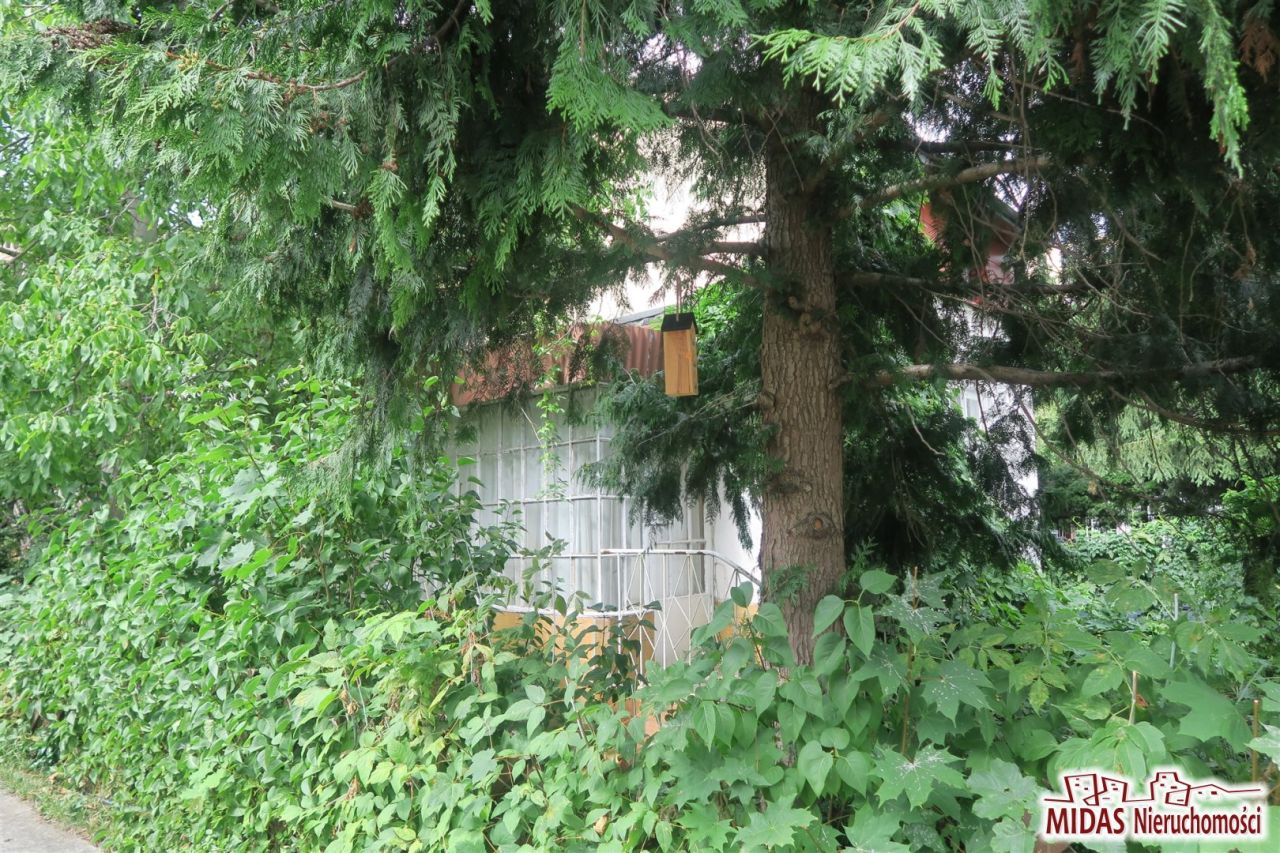 bliźniak, 5 pokoi Włocławek Południe , ul. Kaliska. Zdjęcie 8