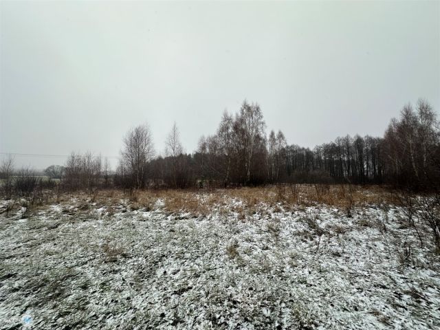 Działka rolna Śladków Duży. Zdjęcie 11