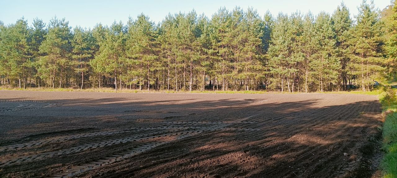 Działka rolno-budowlana Siedliska, ul. Pod Dębami. Zdjęcie 4