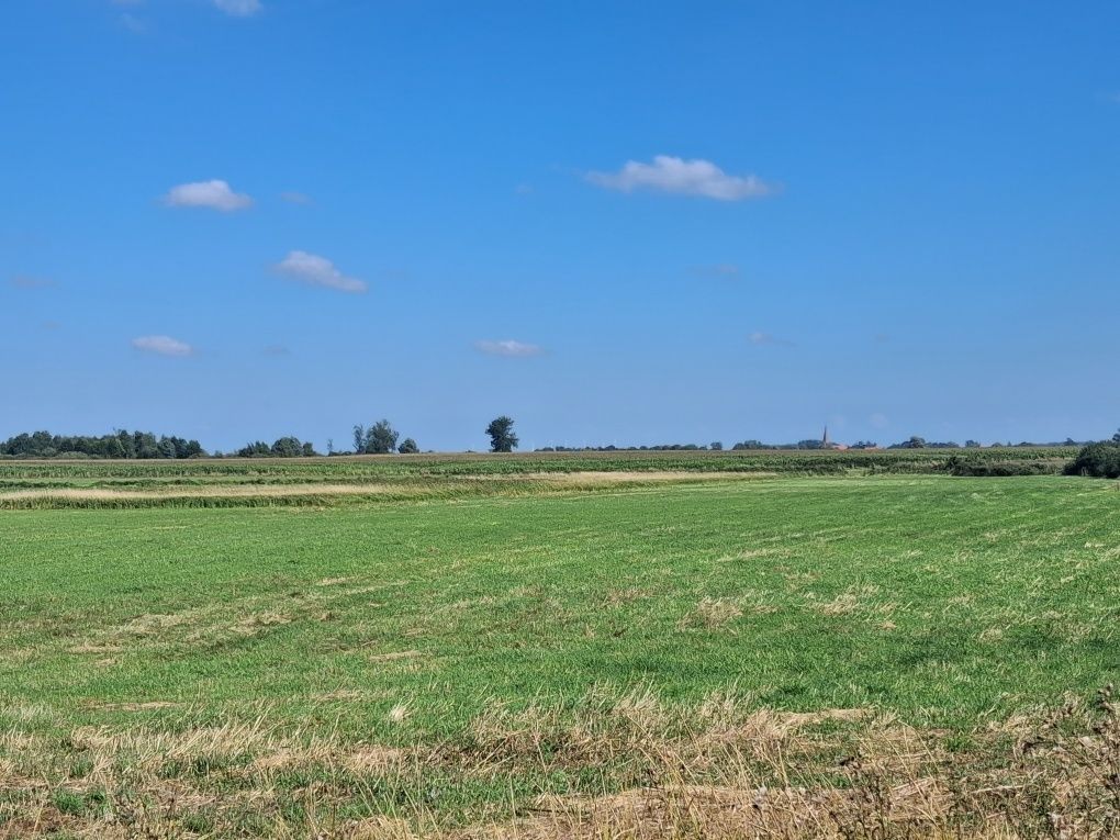 Działka rolna Smuga. Zdjęcie 5