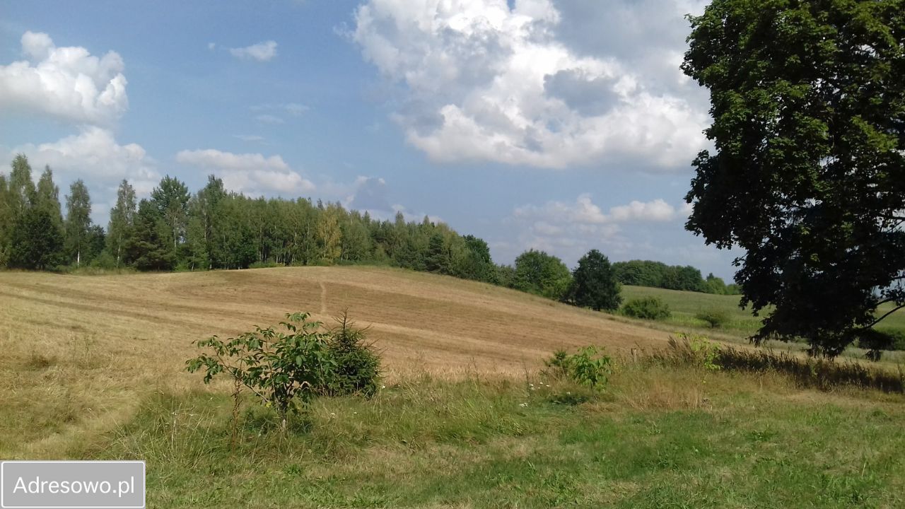 siedlisko, 5 pokoi Pajtuny. Zdjęcie 16