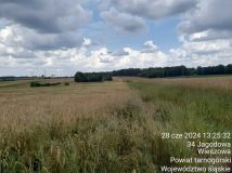 Działka rolno-budowlana Wieszowa, ul. Jagodowa. Zdjęcie 4