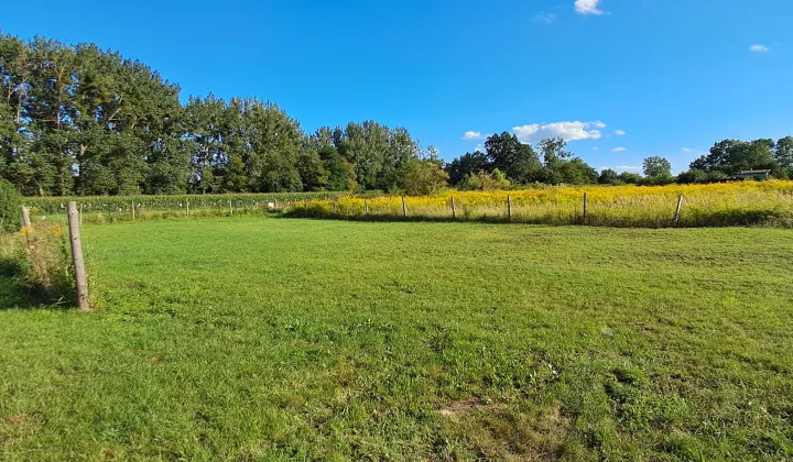 Działka rolna Pyrzyce, ul. Warszawska