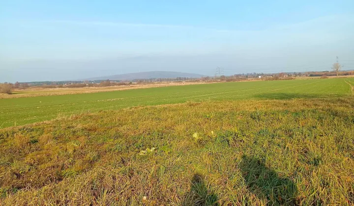 Działka budowlana Zdania