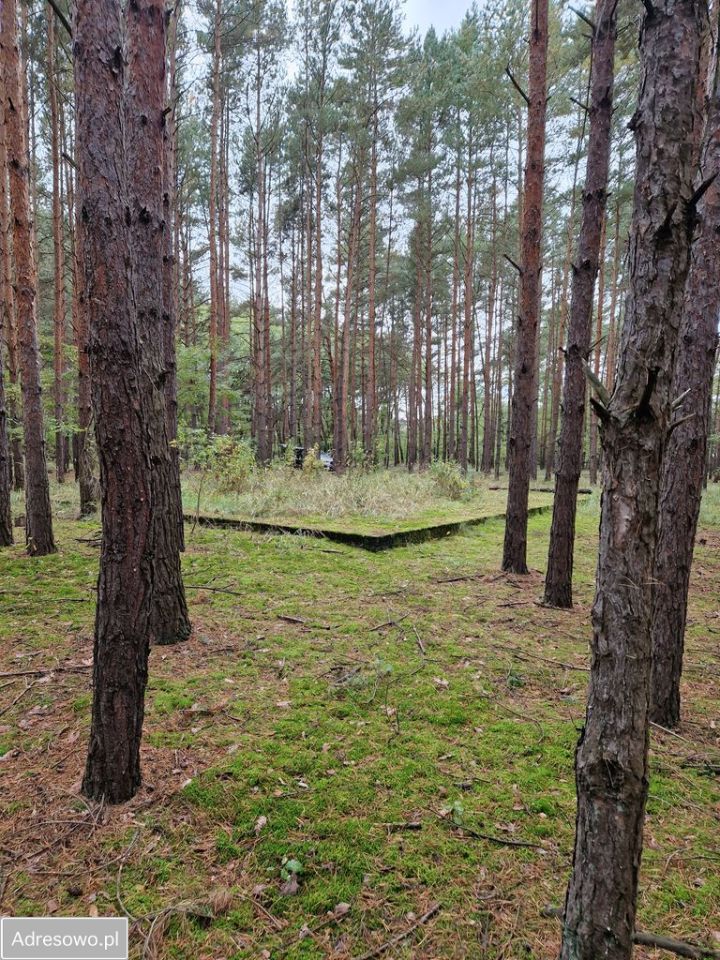 Działka Miastko, ul. Klonowa. Zdjęcie 7