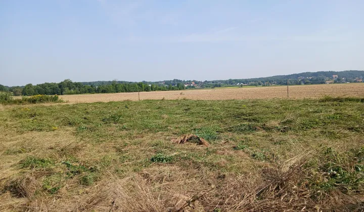 Działka budowlana Wołowice Galatówka, Skawińska