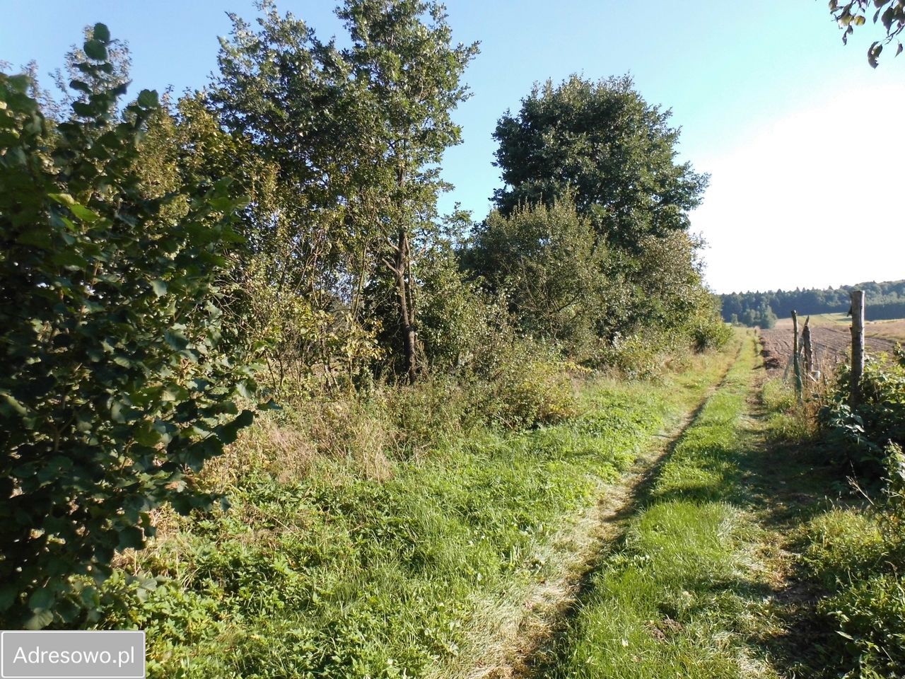 Działka rolna Szypowice. Zdjęcie 2