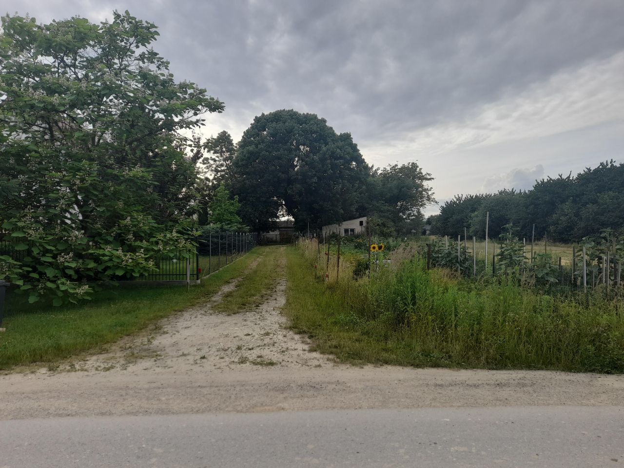 Działka budowlana Lublin Rudnik, ul. Narcyzowa. Zdjęcie 5