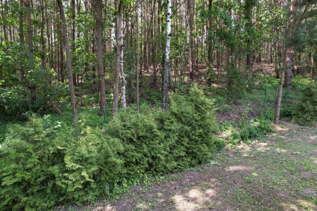 dom wolnostojący, 2 pokoje Charszewo. Zdjęcie 9