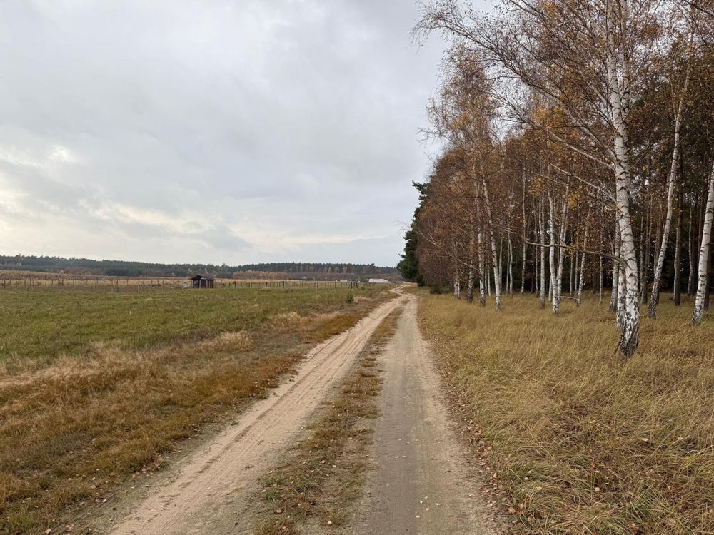 Działka budowlana Trzęsów. Zdjęcie 2