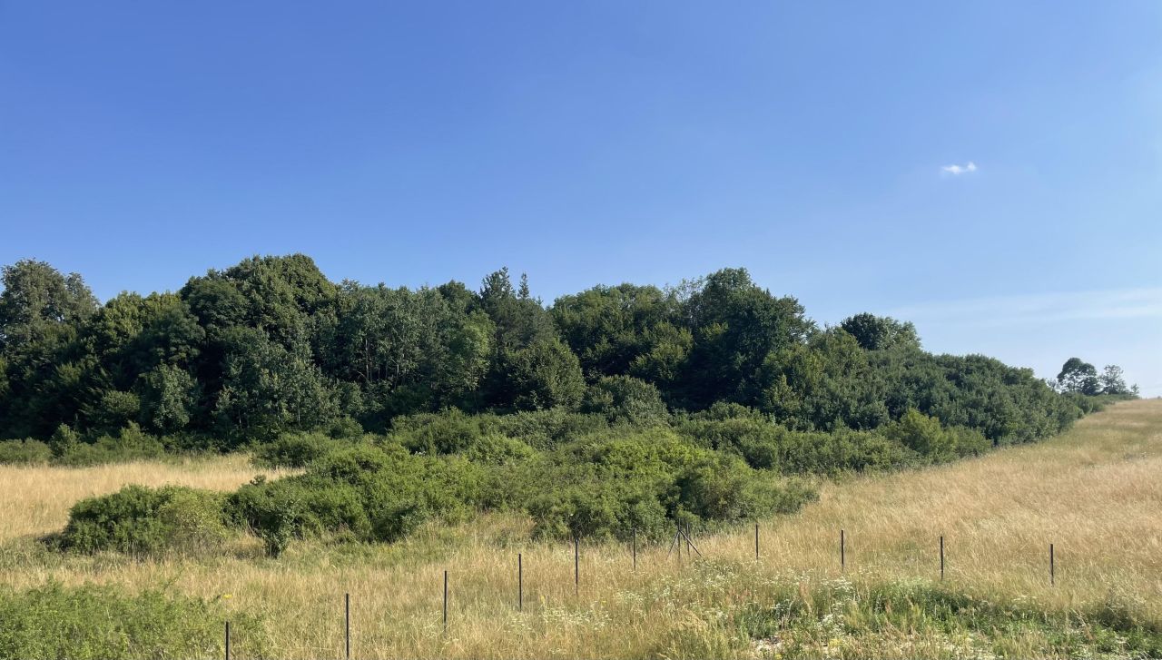 dom wolnostojący, 4 pokoje Brudzów, ul. Lipie. Zdjęcie 22