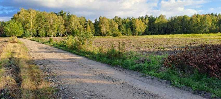 Działka budowlana Rachcin Okrągła. Zdjęcie 3