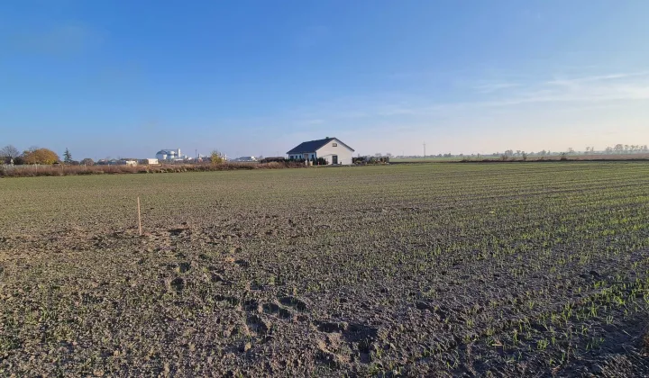 Działka budowlana Łęczyce