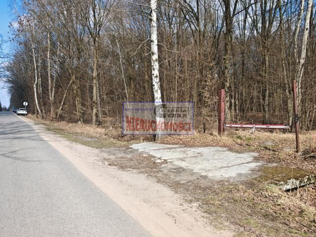 Działka budowlana Anielew, ul. Wojska Polskiego. Zdjęcie 8