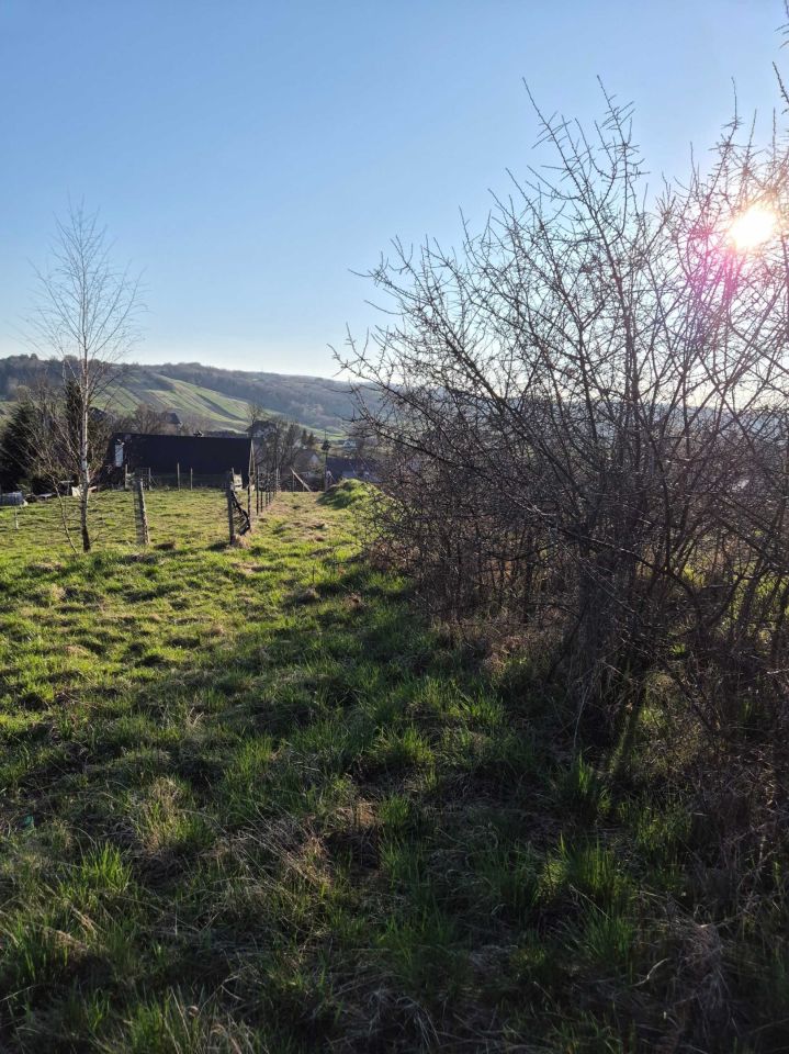 Działka budowlana Niebieszczany. Zdjęcie 5