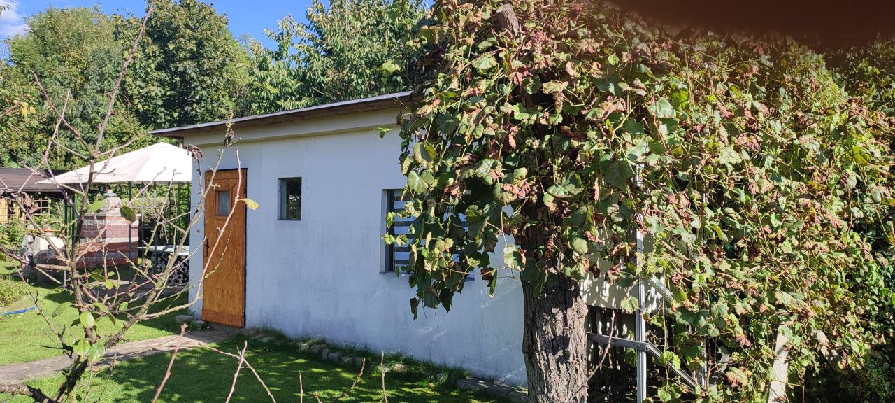 Działka rod Gliwice Śródmieście, ul. Stanisława Wyspiańskiego. Zdjęcie 3