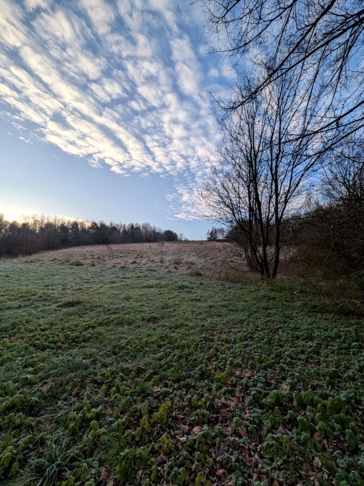 dom wolnostojący, 4 pokoje Prawęcin. Zdjęcie 6