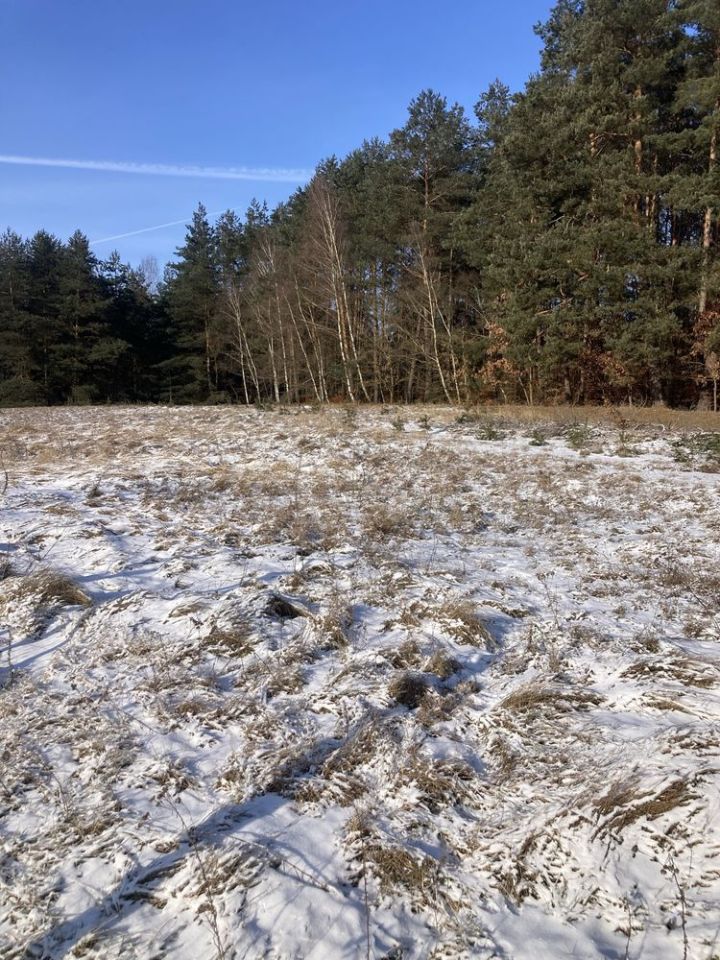 Działka budowlana Łośno, ul. Leśna. Zdjęcie 8