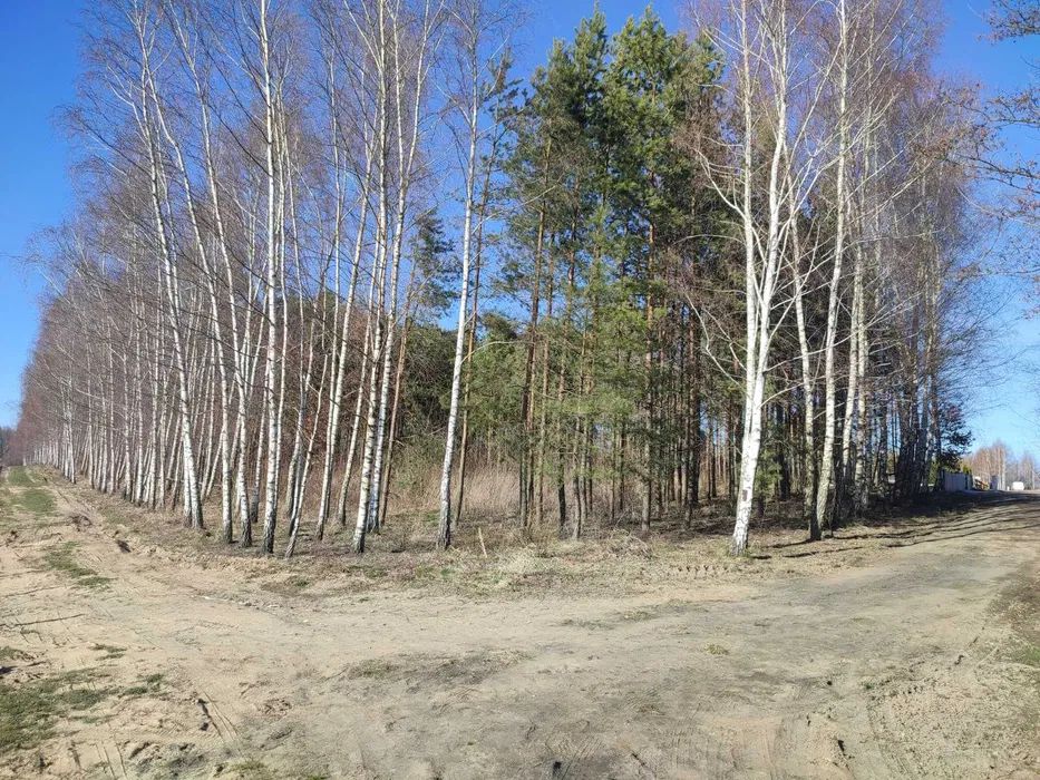 Działka budowlana Skarpa. Zdjęcie 2