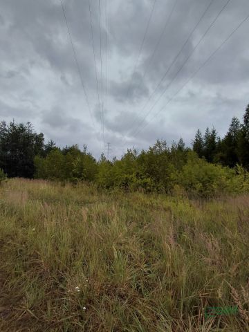 Działka Mysłowice, ul. Zacisze. Zdjęcie 5