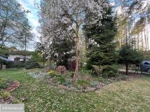 Działka rekreacyjna Rosanów, ul. Młynarska. Zdjęcie 4