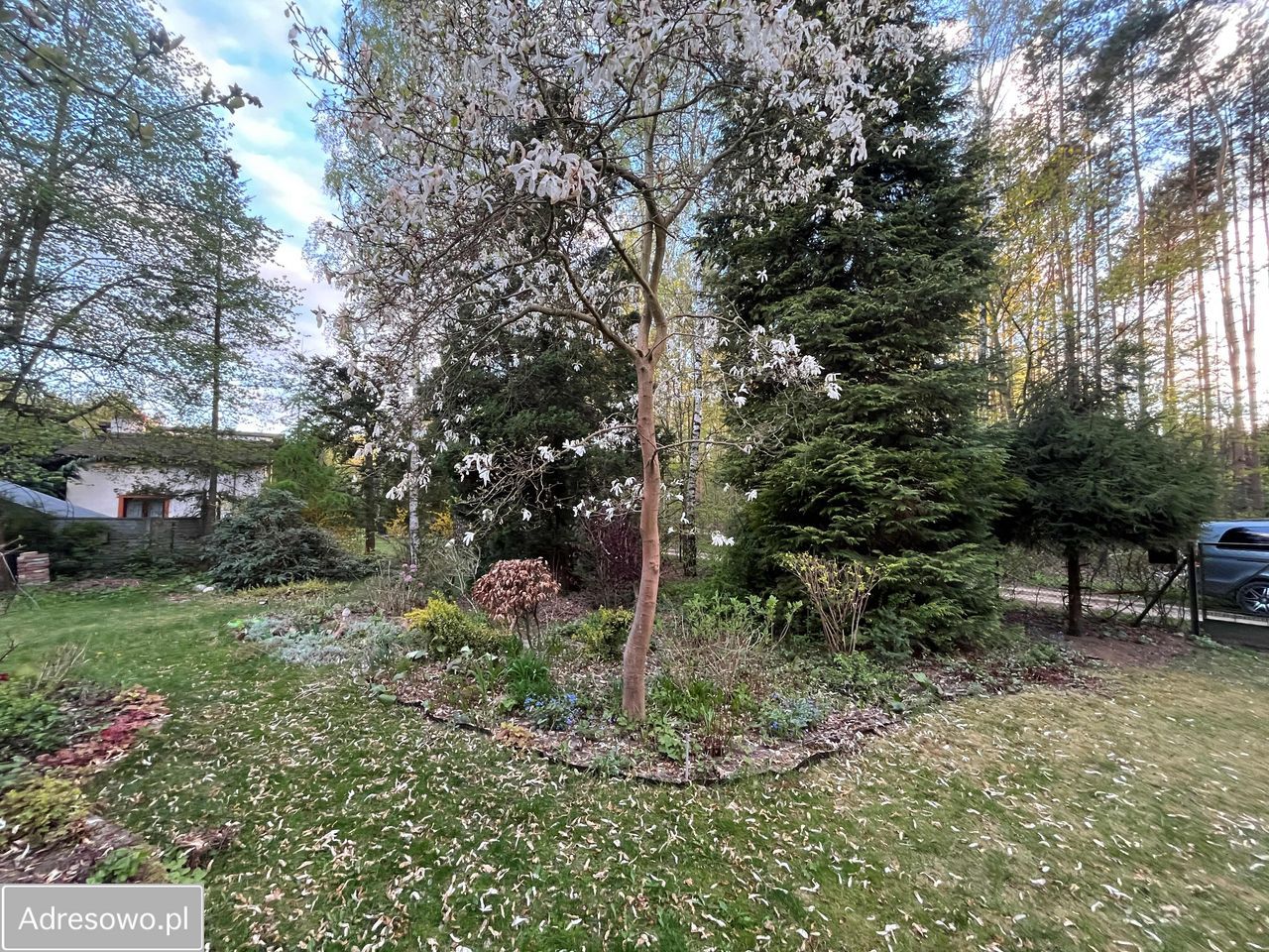 Działka rekreacyjna Rosanów, ul. Młynarska. Zdjęcie 5