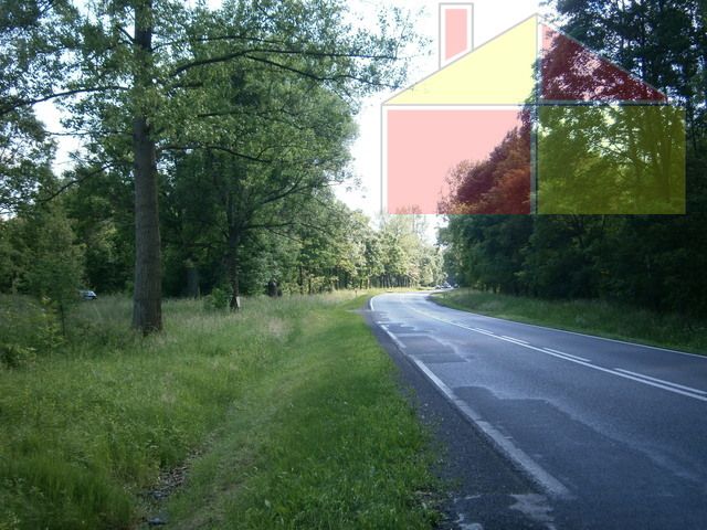 Działka inwestycyjna Lubomyśl. Zdjęcie 3